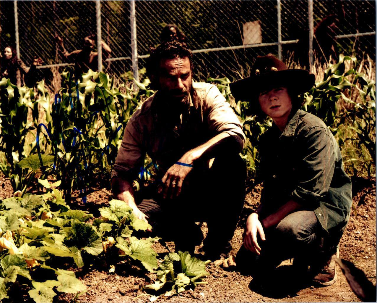 Chandler Riggs Andrew Lincoln 8x10 Autographed signed Photo Poster painting Picture and COA