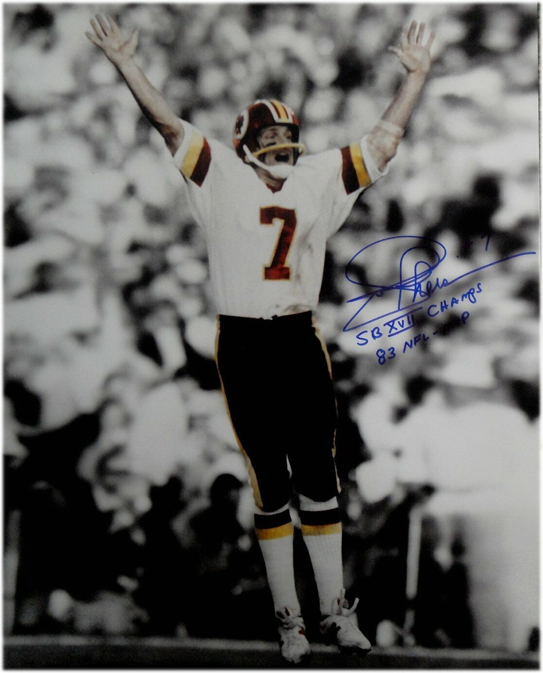 Joe Theismann Hand Signed Autographed 16x20 Photo Poster painting Washington SBXVII '83