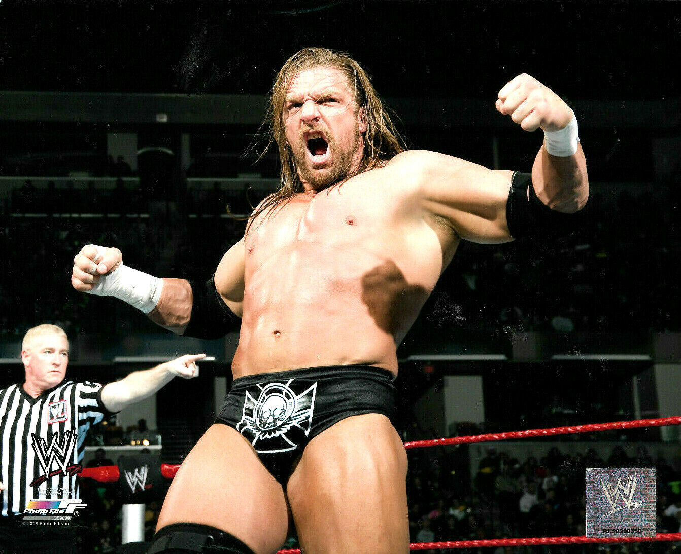 WWE TRIPLE H THE GAME OFFICIAL LICENSED 8X10 Photo Poster paintingFILE Photo Poster painting 3