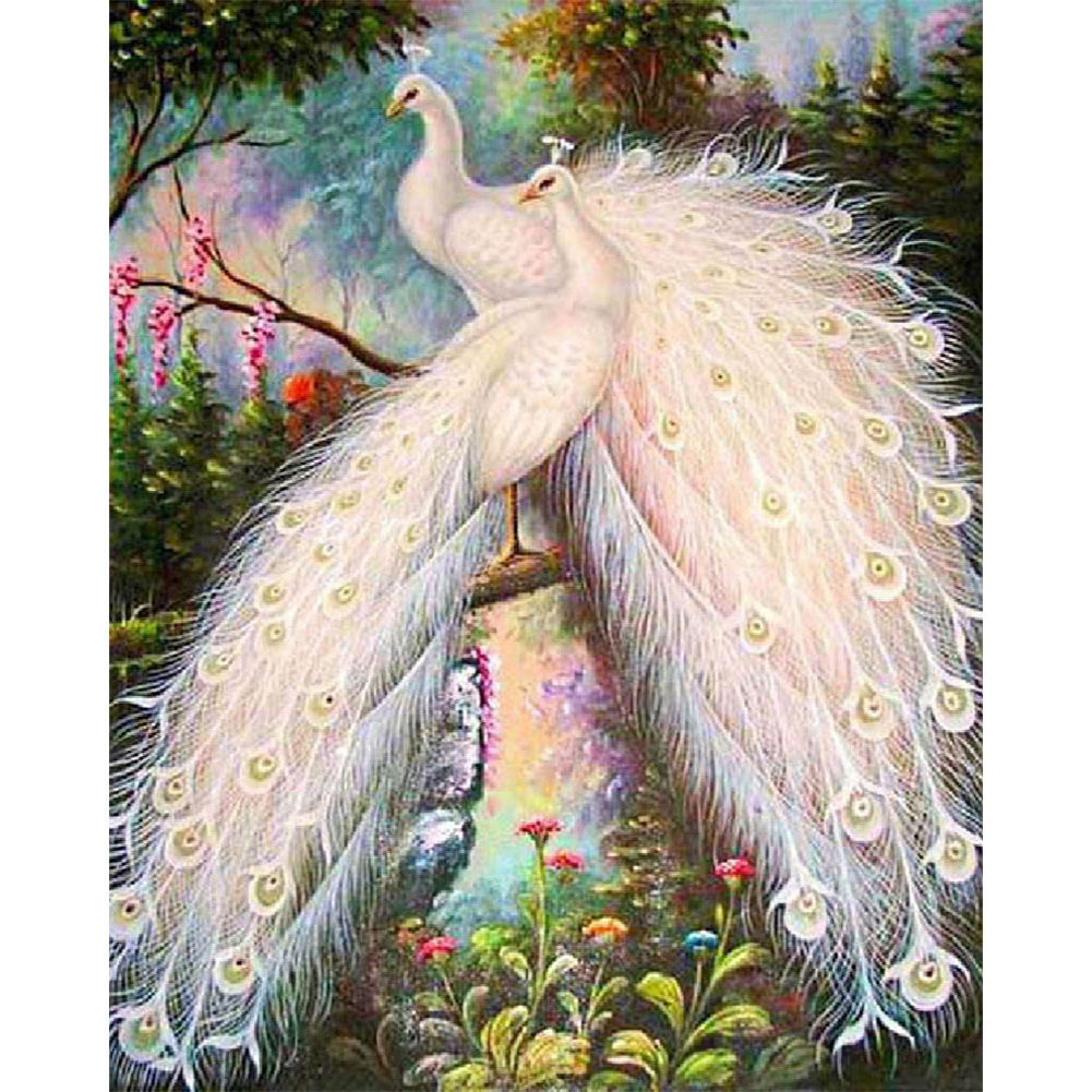 

White Peacock - Square Drill Diamond Painting - 55*65CM (Big Size), 501 Original