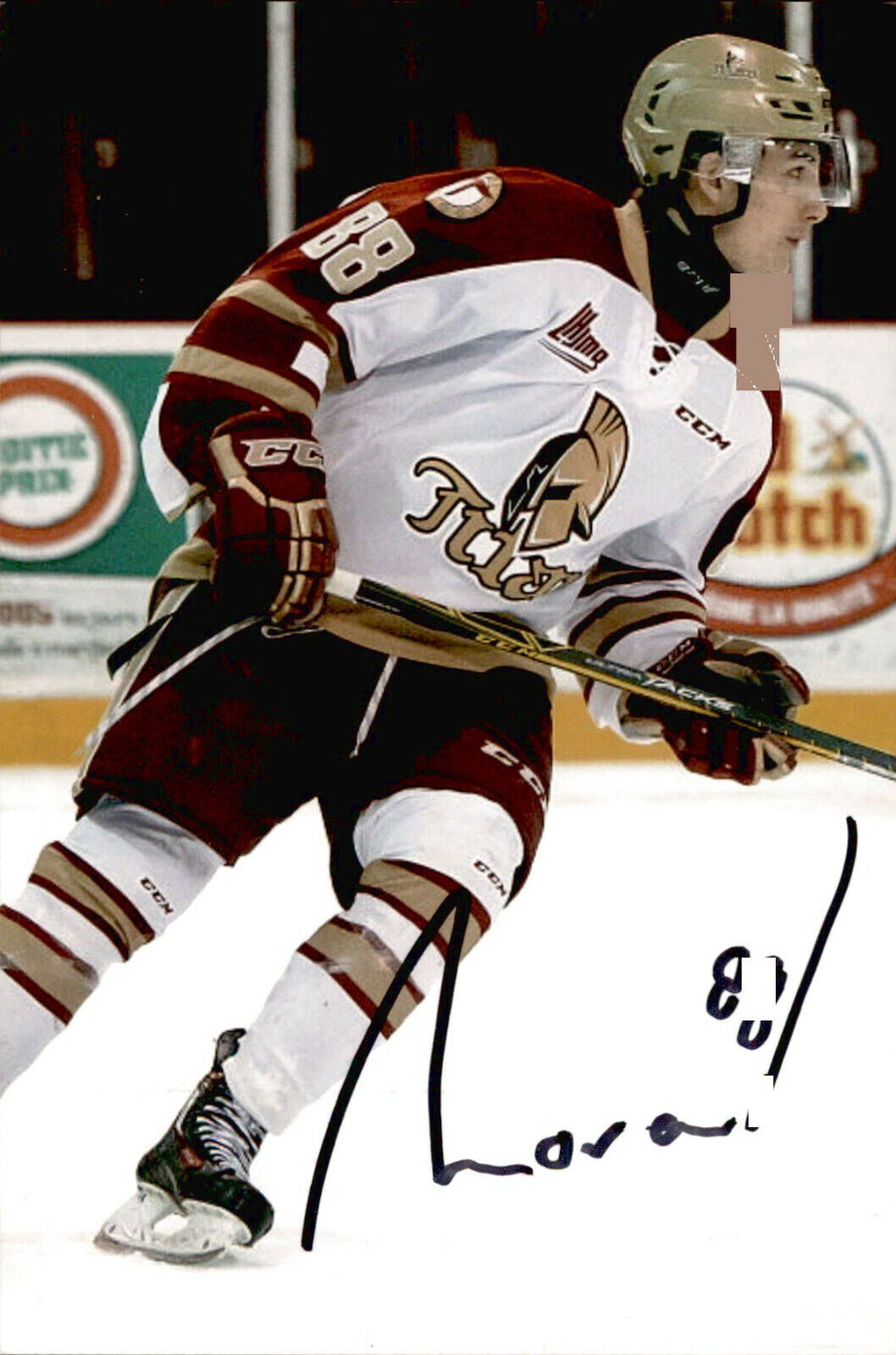 Antoine Morand SIGNED 4x6 Photo Poster painting ACADIE BATHURST TITAN / ANAHEIM DUCKS #2