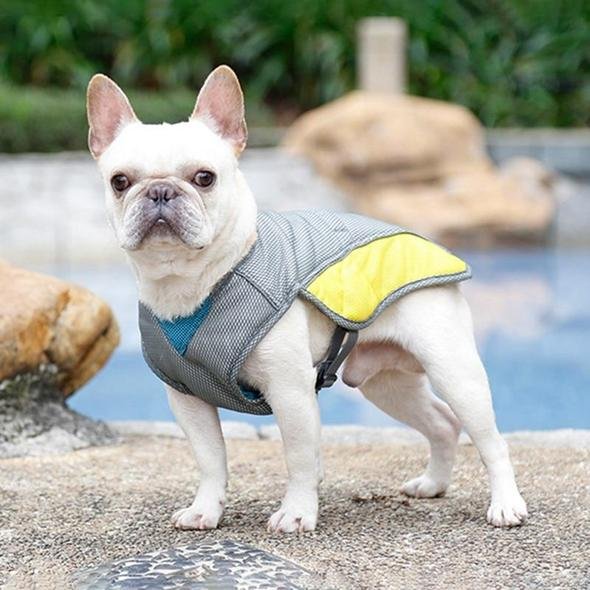 French Bulldog Summer Cooling Vest