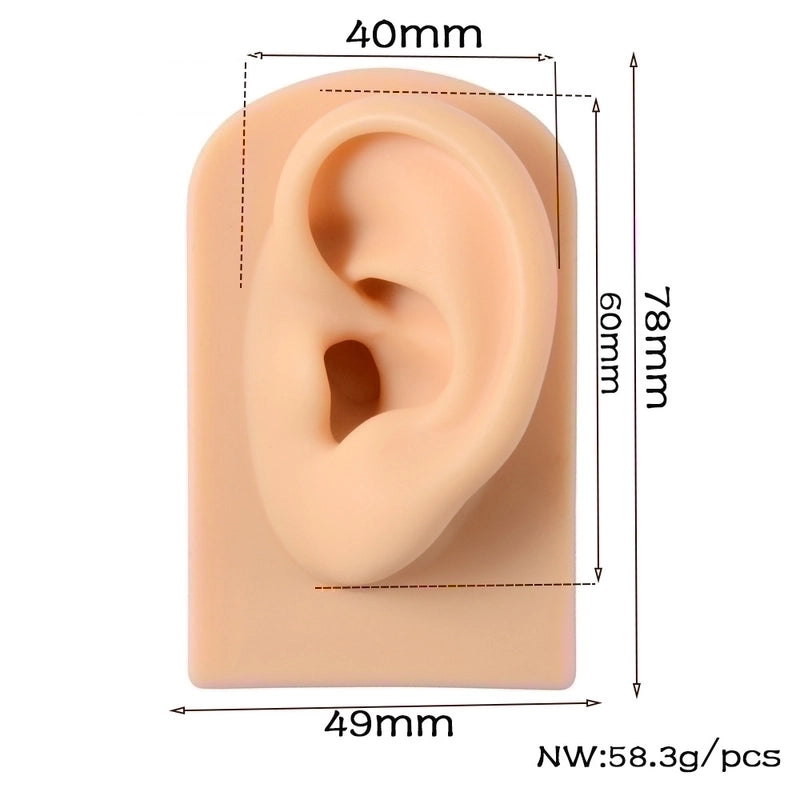 2 Pieces Fashion Rectangle Arylic Silica Gel Simulation Ear Model
