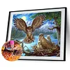 Best lowest diamond painting - Coodeals diamond painting