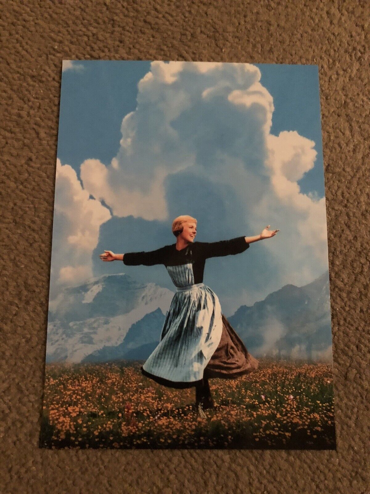 JULIE ANDREWS (THE SOUND OF MUSIC) UNSIGNED Photo Poster painting- 7x5”