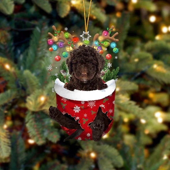 Spanish Water Dog In Snow Pocket Christmas Ornament.