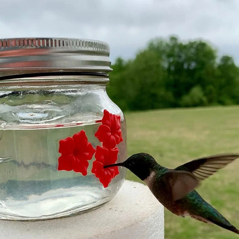 Beautiful canned hummingbird feeder with three ports