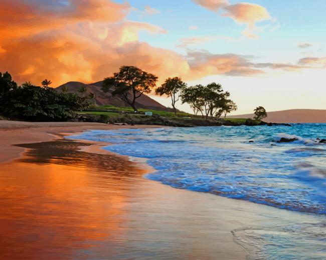 

Hawaii Beach – Paint By Numbers - 40*50CM, 501 Original
