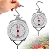 Fish Scales with 2 Hooks Mechanical Pointer Hook Scale Practical Handheld Scale