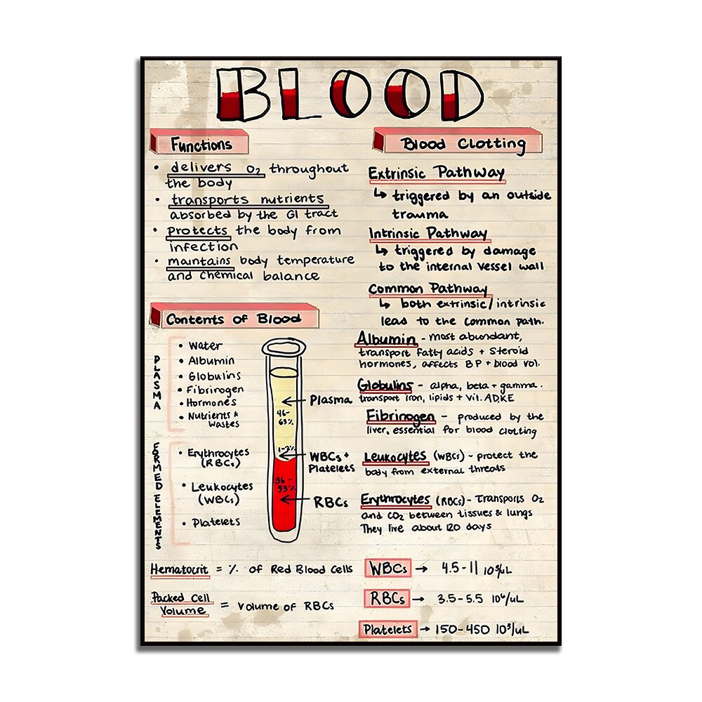 Blood Knowledge Sign Vintage Medical Poster, Doctor Home Hospital Decoration Office Wall Decor