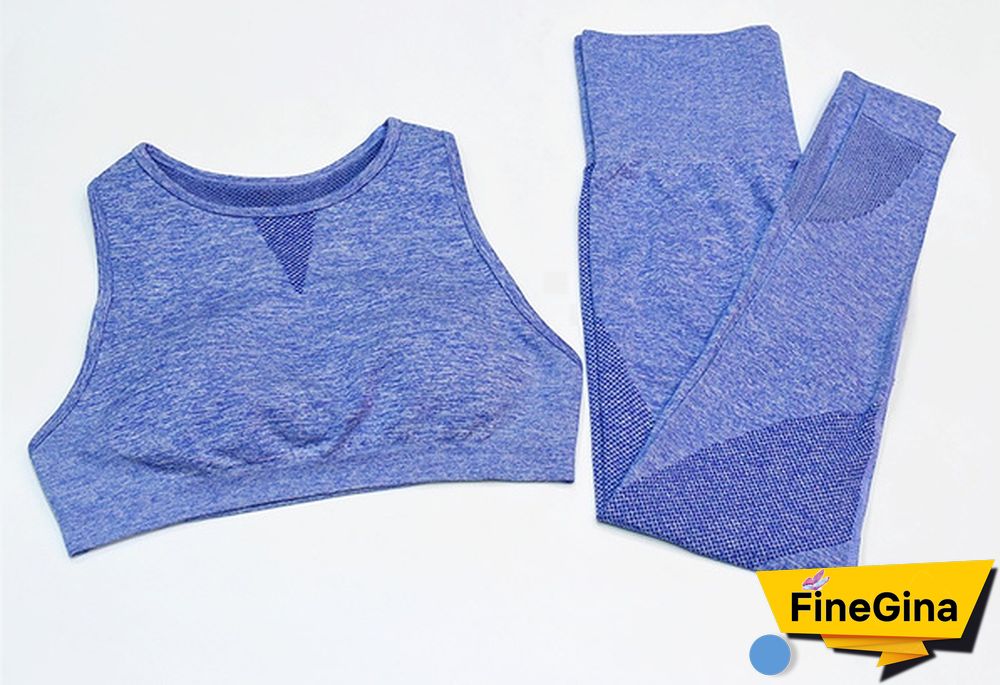 Women Workout 2 Pieces Set Sports Bra Seamless Legging Yoga Pant Gym Wear Bodybuilding Clothes