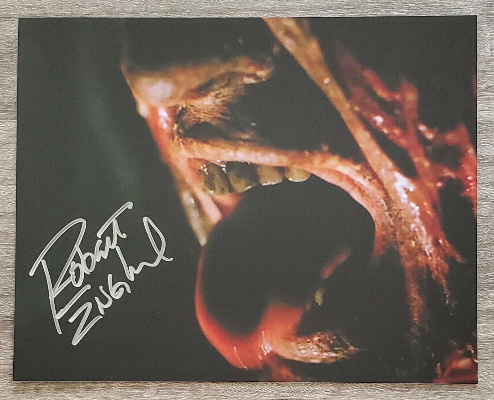 Robert Englund Signed Freddy Kruger 8x10 Photo Poster painting Nightmare On Elm St Horror RAD