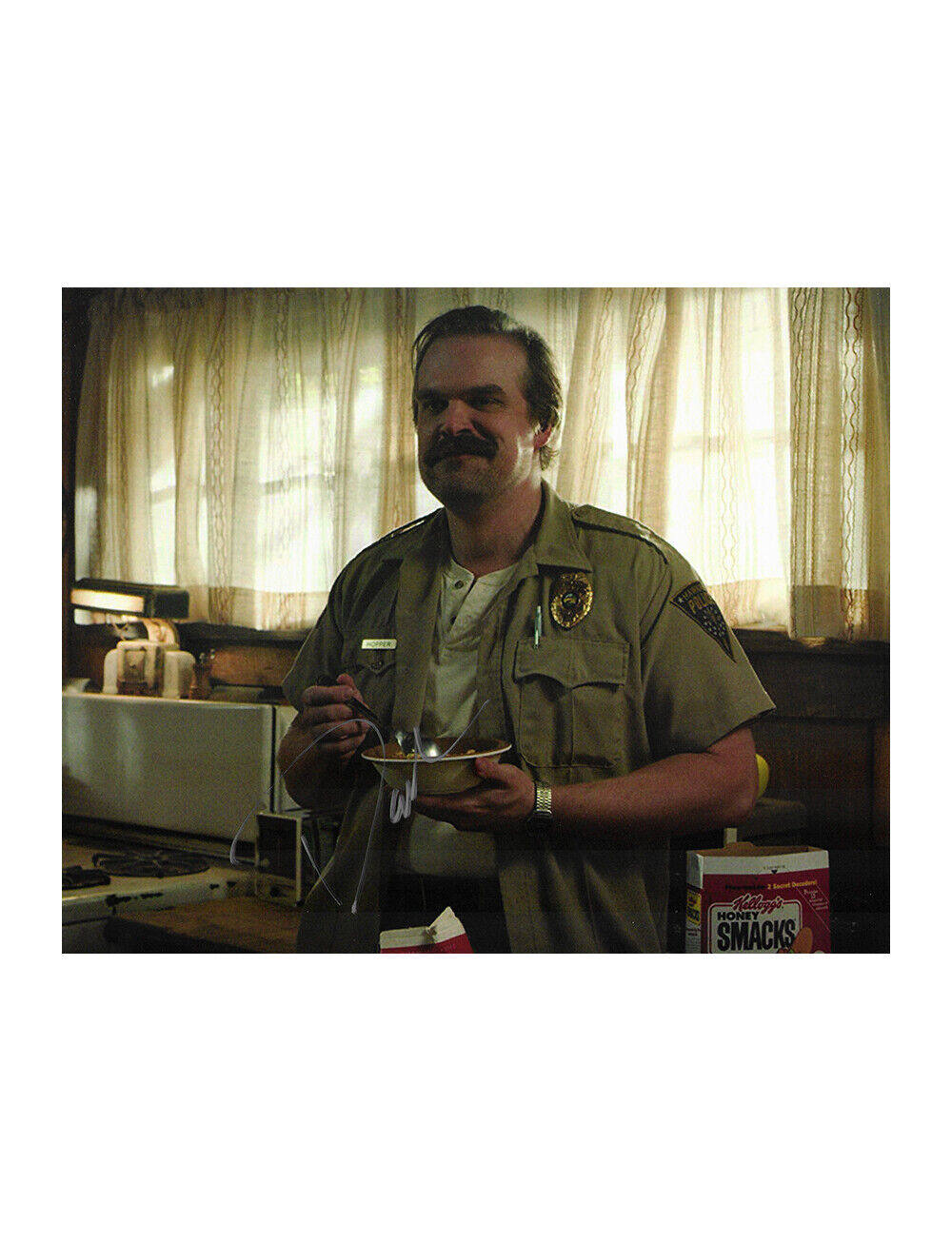 10x8 Stranger Things Print Signed by David Harbour 100% Authentic With COA