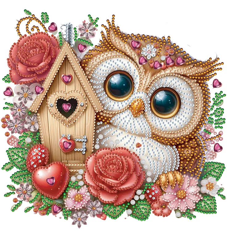 Partial Special-Shaped Diamond Painting - Rose Owl House 30*30CM