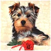 Diamond Painting-5D Full Round Drill Dog