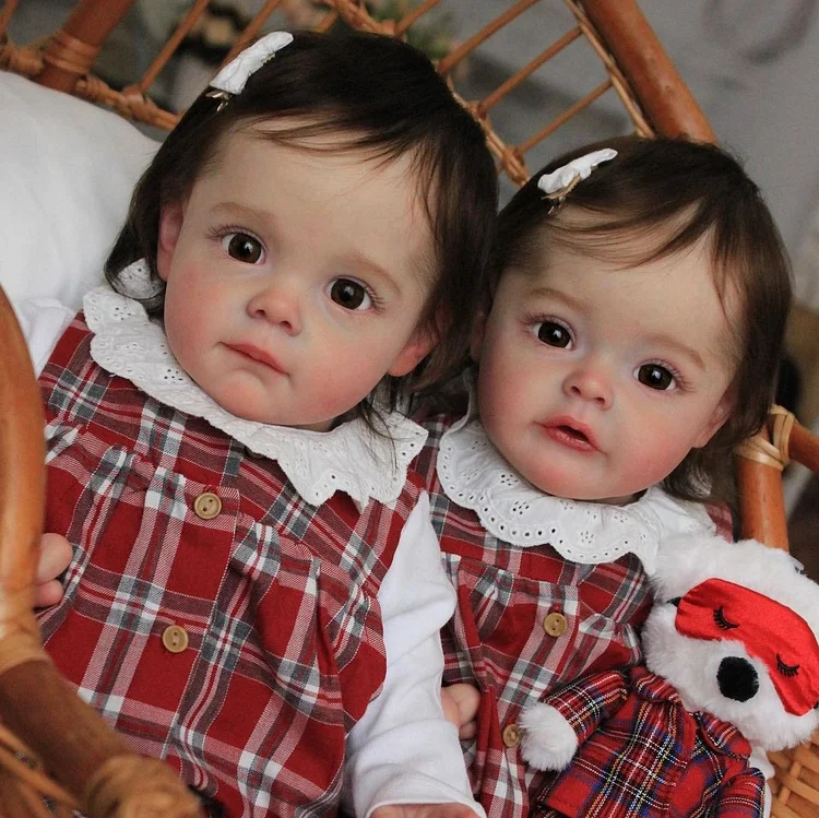 [Adorable Twins]22'' Realistic Reborn Beautiful Lifelike Baby Doll Girl with Curly Hair Named Haisley and Hallie-Best Gift for Children
