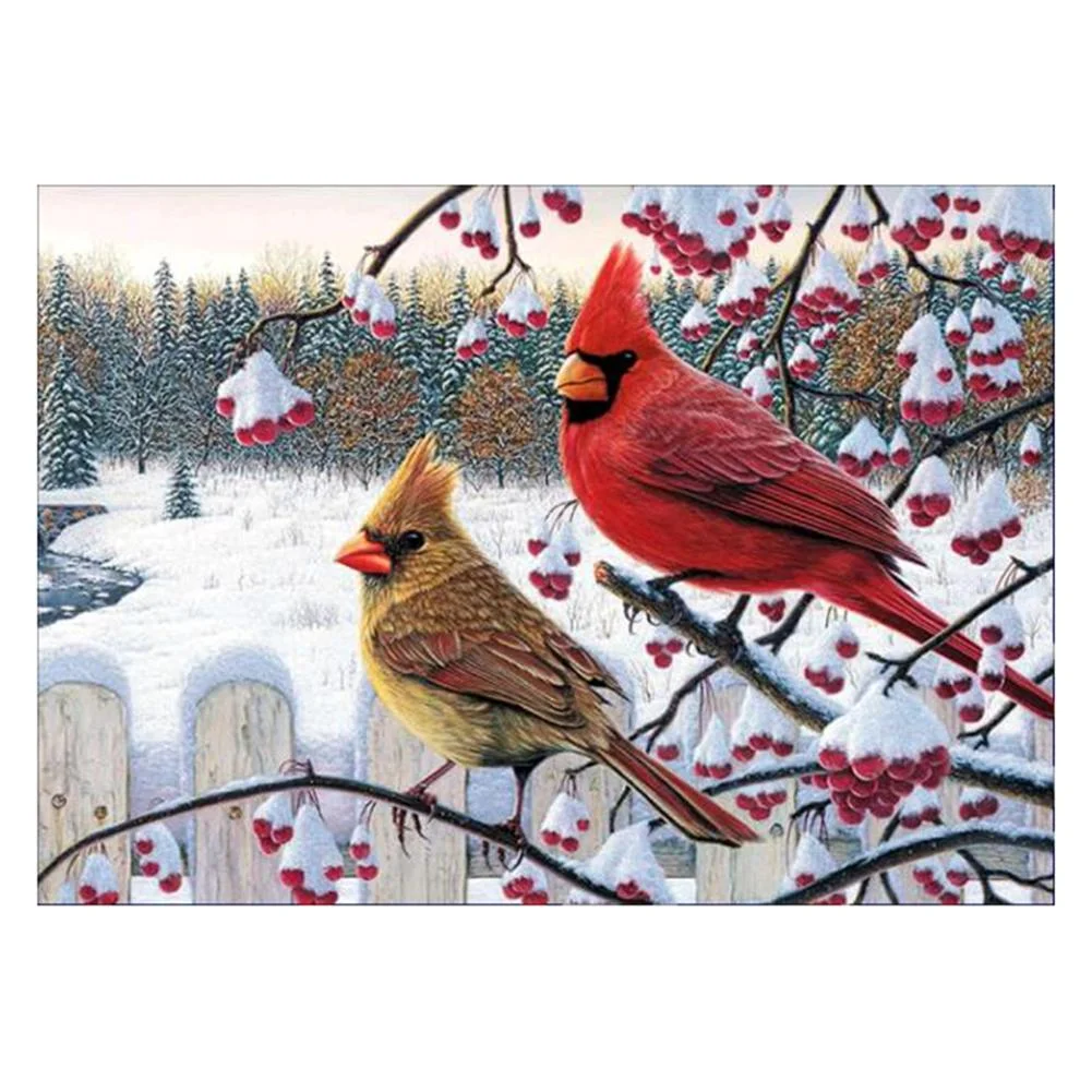 Full Round Diamond Painting Birds (40*30cm)