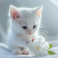 Gardenia White Cat - Diamond Painting