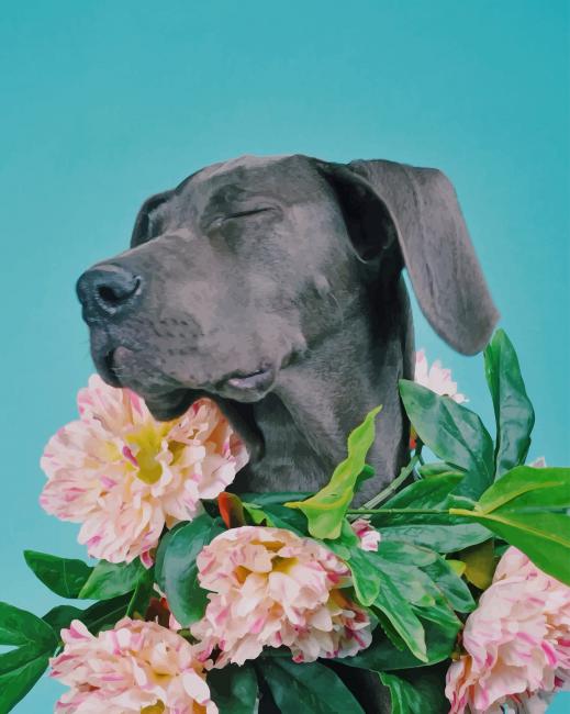 

Great Dane With Flowers Crown – Paint By Numbers - 40*50CM, 501 Original
