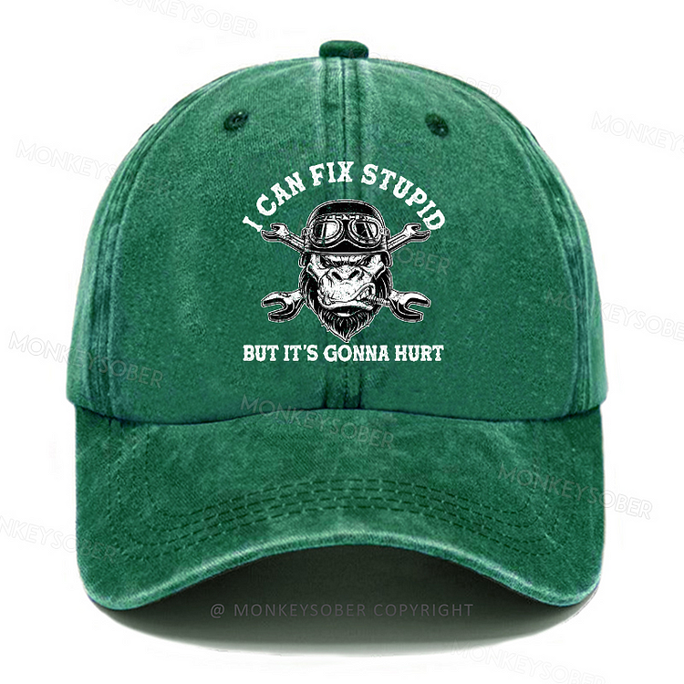 Personalized "I Can Fix Stupid But It's Gonna Hurt" Custom Washed Baseball Caps