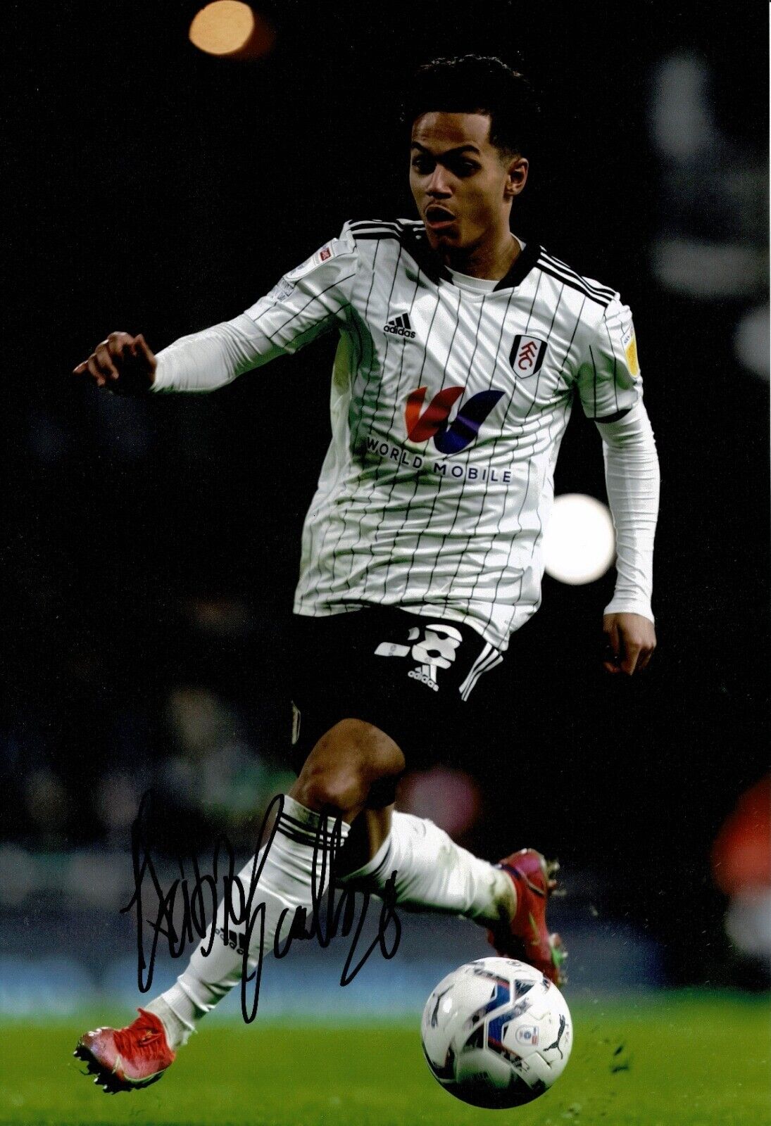 Fabio Carvalho Signed 12X8 Photo Poster painting Fulham F.C. Autograph AFTAL COA (1672)