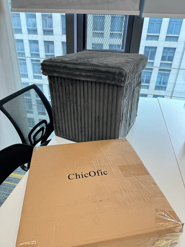 ChicOfic Foldable Storage Ottoman Stylish & Functional Furniture Storage Solution