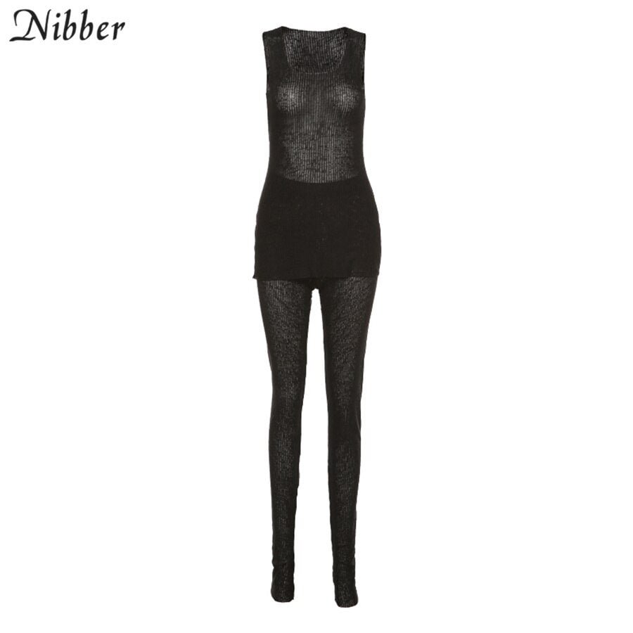 Nibber Sexy See Through Solid Knitted 2 Two Piece Set Women Casual Sleeveless Long Top And Skinny Pants 2021 Fashion Streetwear
