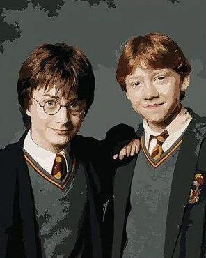 Harry potter And Ron Weasley - Celebrities Paint By Numbers DQ18893