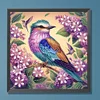 Diamond Painting-DIY Crystal Rhinestone Bird