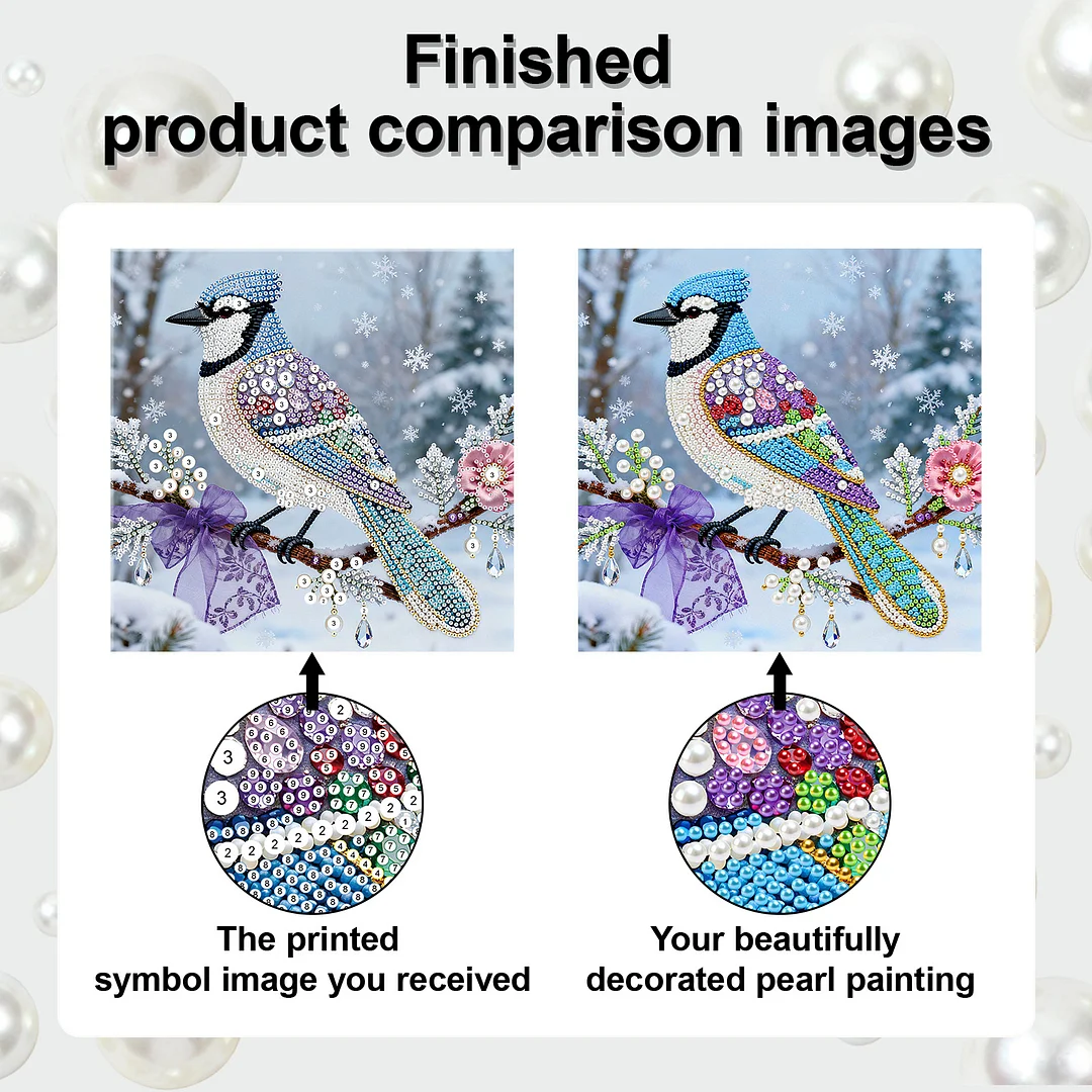 Bird DIY Pearl Art Diamond Painting Kit for Adults Home Decor 25x25cm With Frame