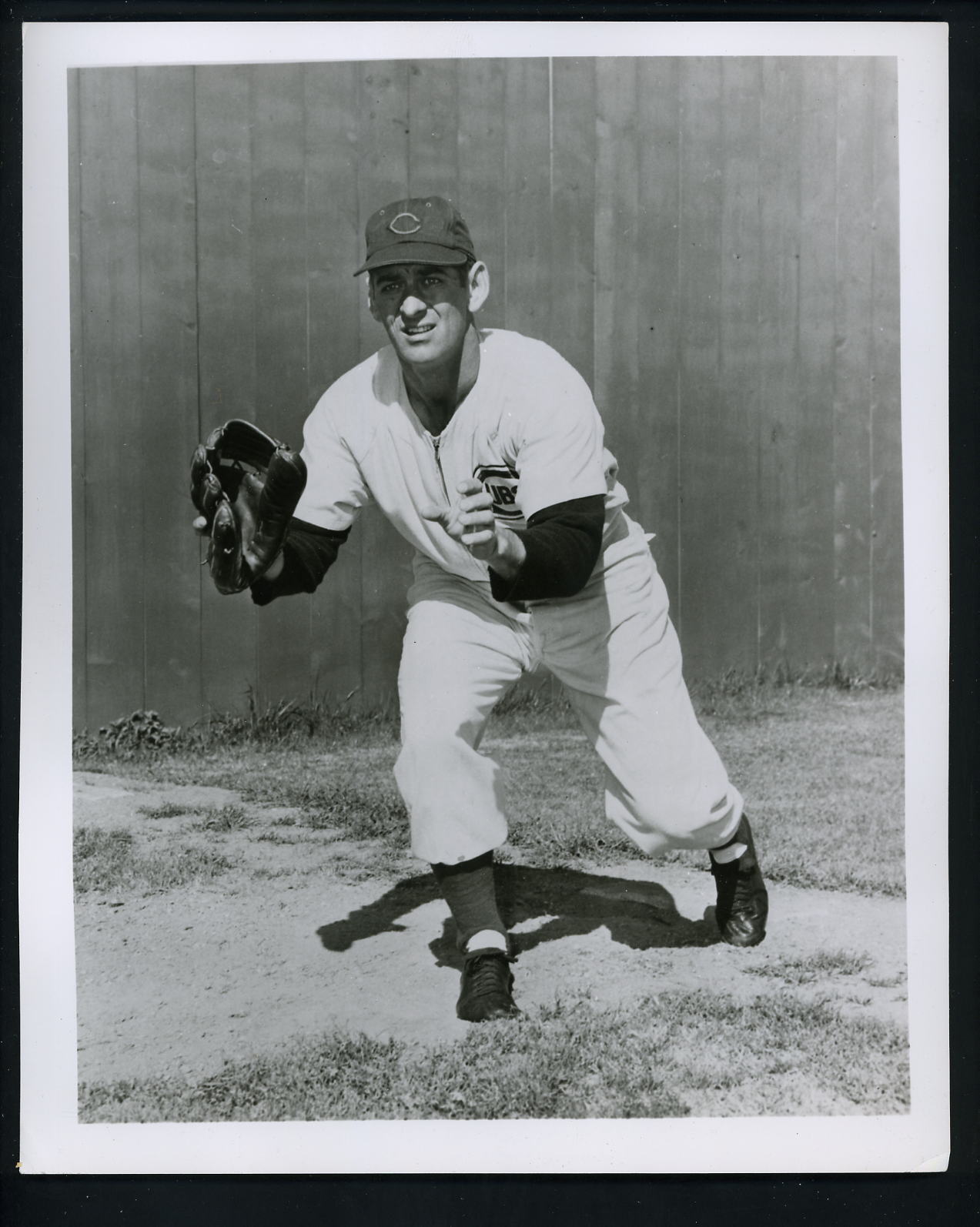 Jim Davis 1954 - 1956 Press Wire Photo Poster painting Chicago Cubs