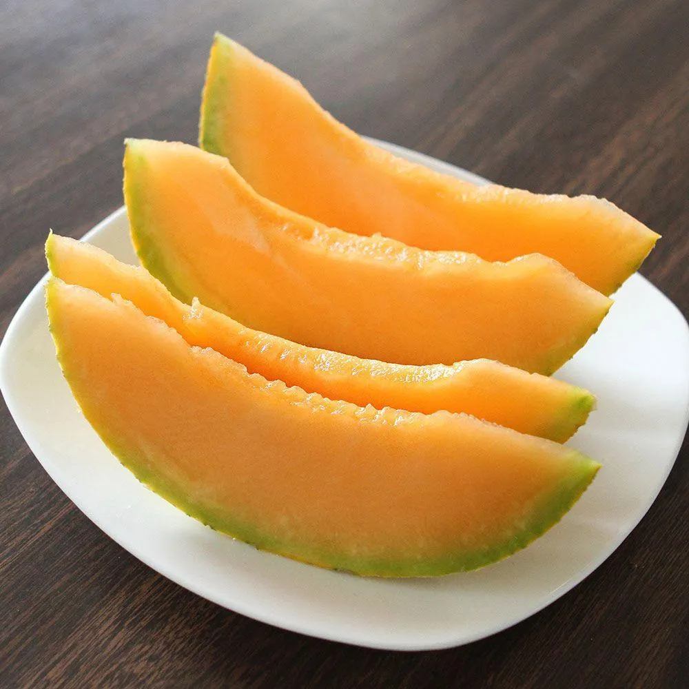 Melon Divergent F1 Organic
