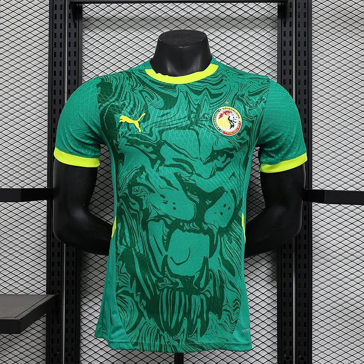 24-25 Senegal Away Football Jersey Authentic