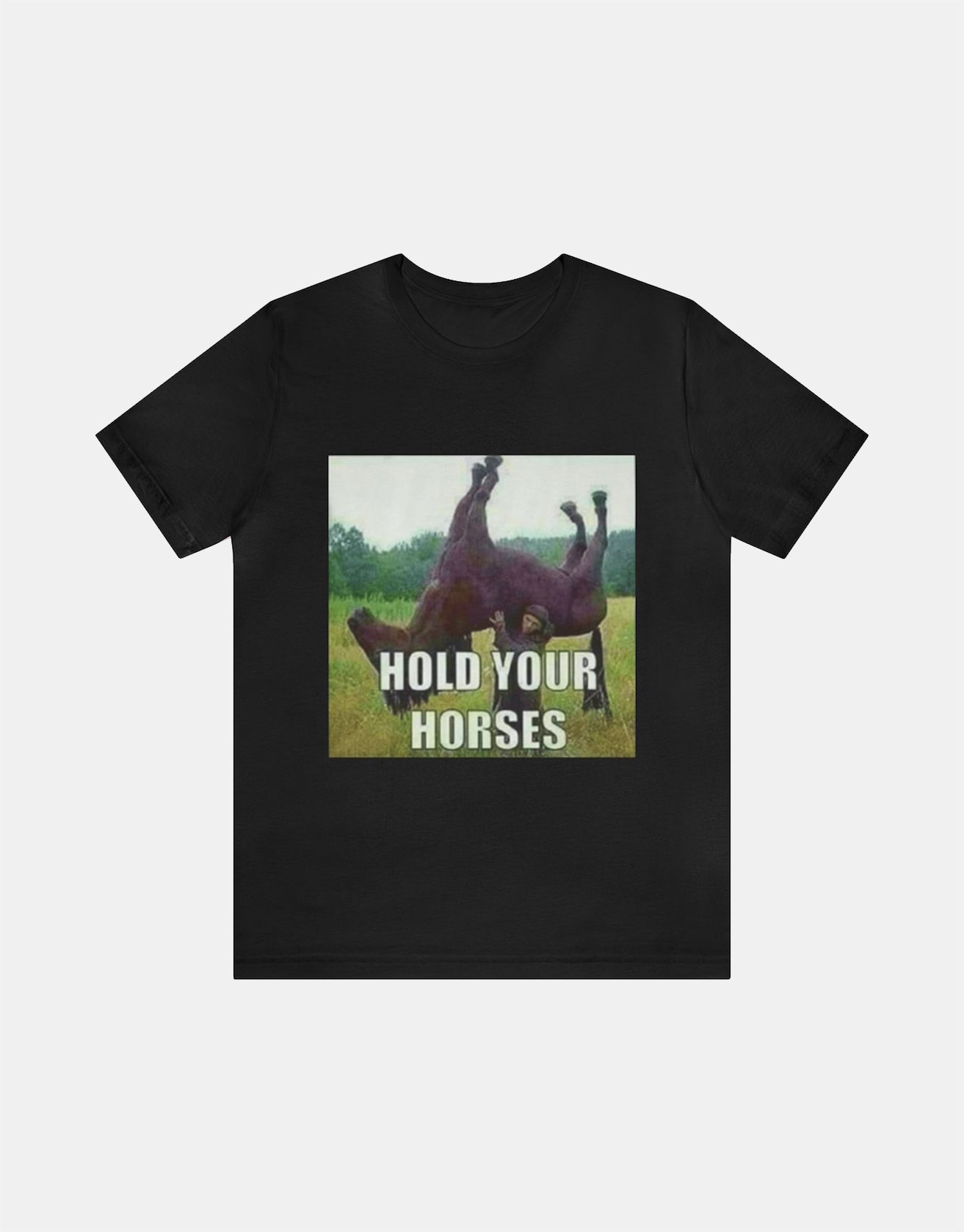 Hold Your Horses Meme Shirt- Funny Shirts, Parody Tees, Offensive Tees, Meme Shirt / TECHWEAR CLUB / Techwear