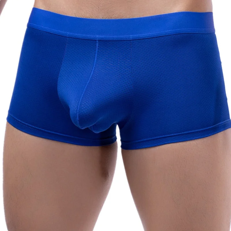 Aonga  Men Underwear Boxer Shorts Hombre Mesh Panties Man Solid Comfortable U Convex Pouch Underpants Male Trunks Cueca Masculina aonga