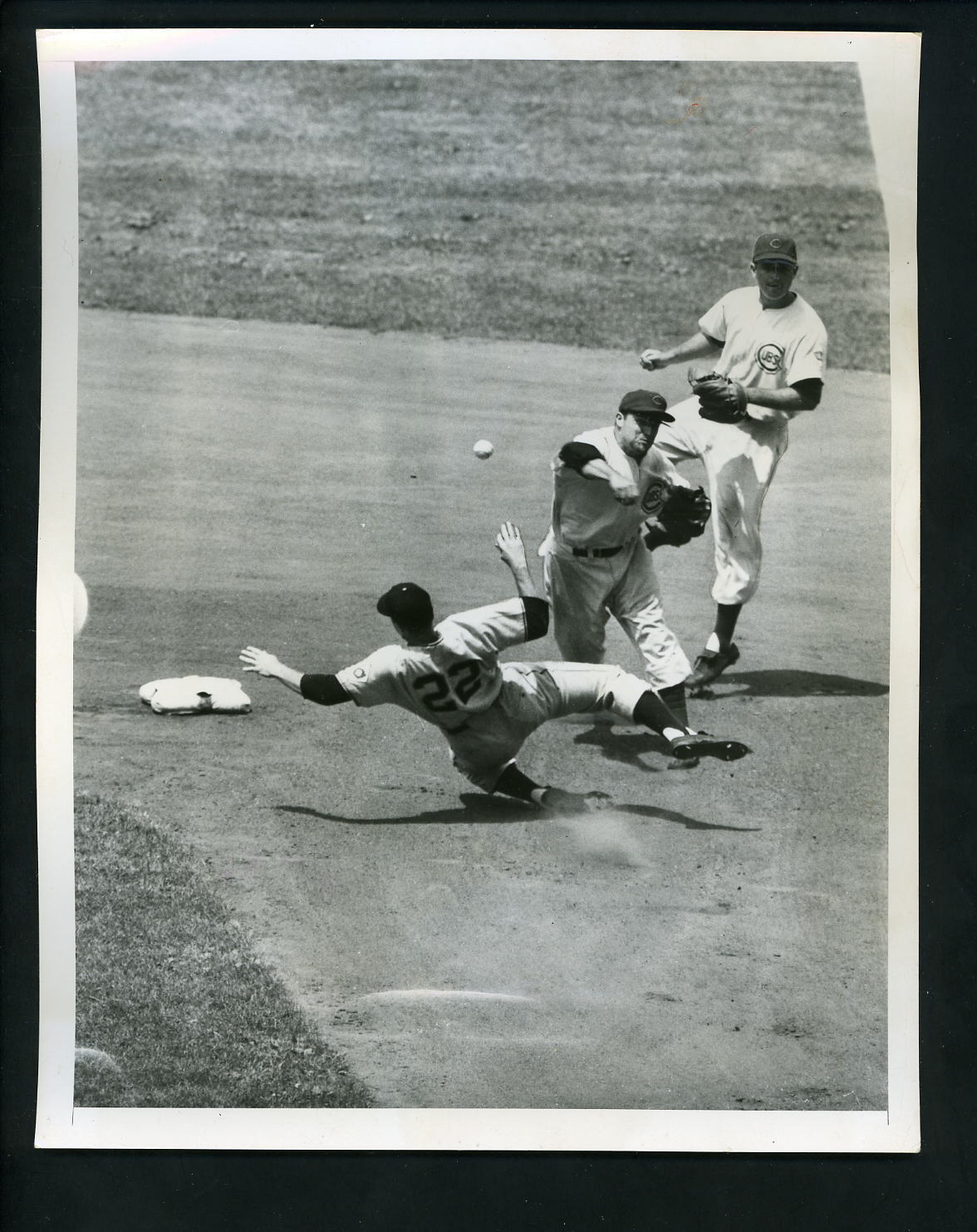 Bob Ramazzotti Eddie Miksis Don Mueller 1951 Type 1 Press Photo Poster painting Cubs Giants