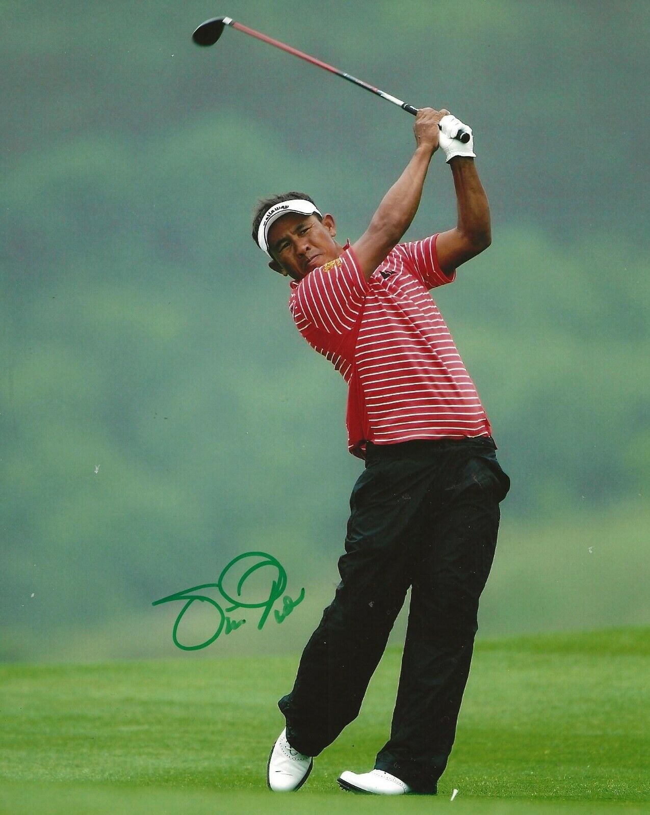 Thongchai Jaidee Thailand signed Golf 8x10 Photo Poster painting autographed