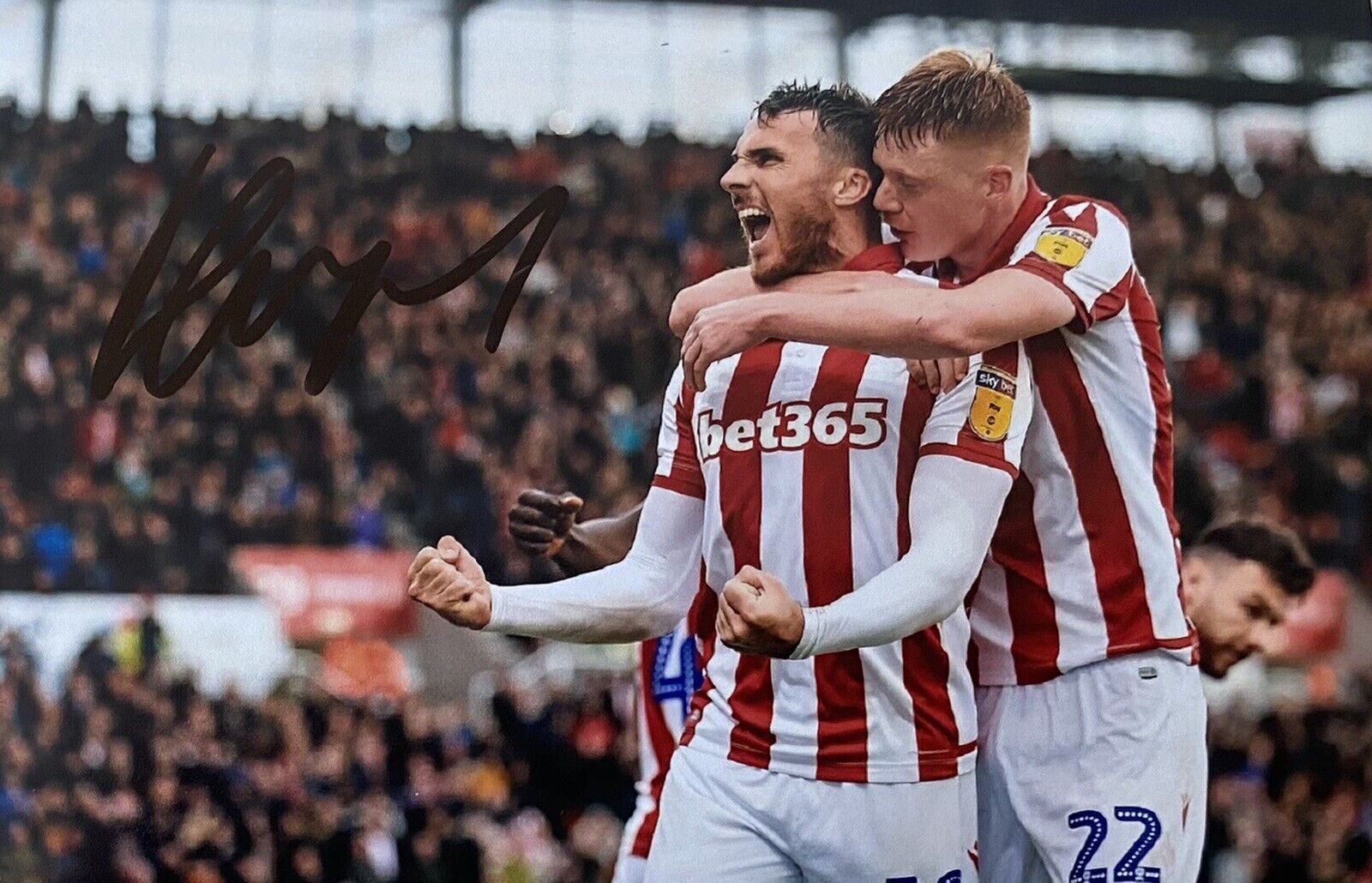 Lee Gregory Genuine Hand Signed Stoke City 6X4 Photo Poster painting