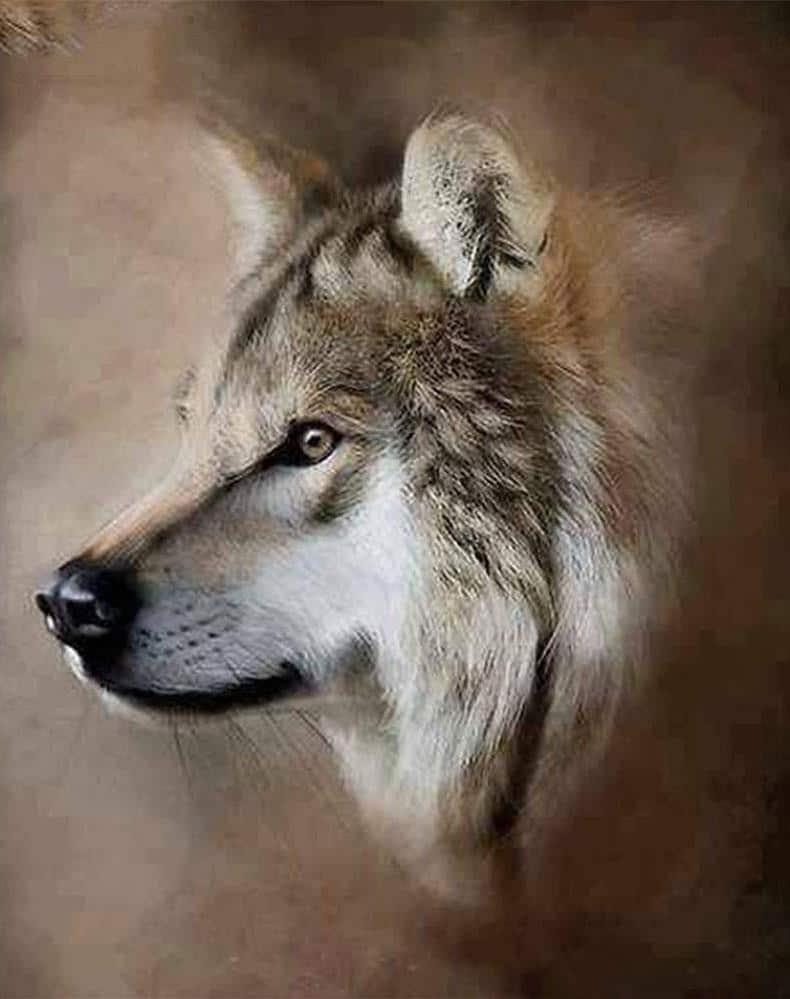 

Sand Storm Wolf – Paint By Numbers - 40*50CM, 501 Original