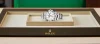 Rolex 226570 Explorer II White - New