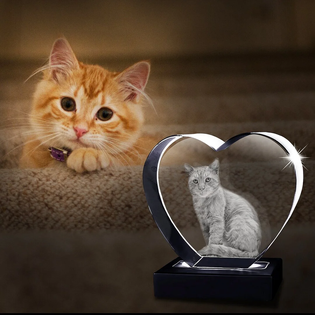 Personalized Pet 3D Crystal Picture,Holiday gift, Home Decor