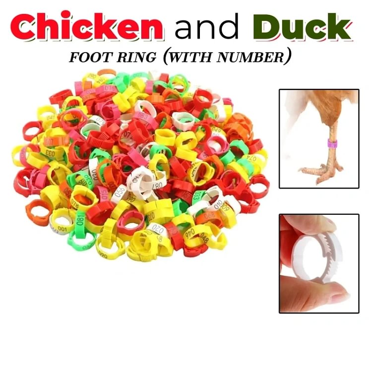 Adjustable Snap-On Poultry Leg Bands
