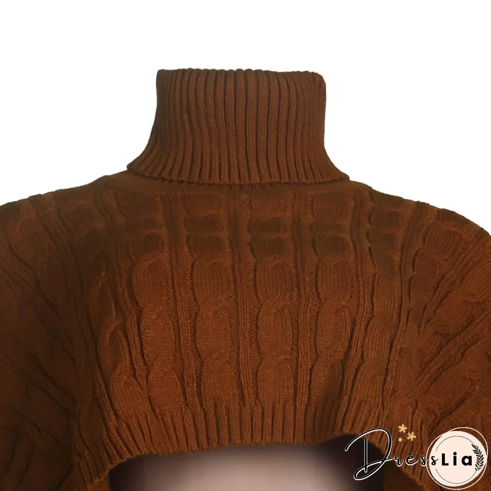 Solid Color Turtleneck Bat Sleeve Sweater Crop Top