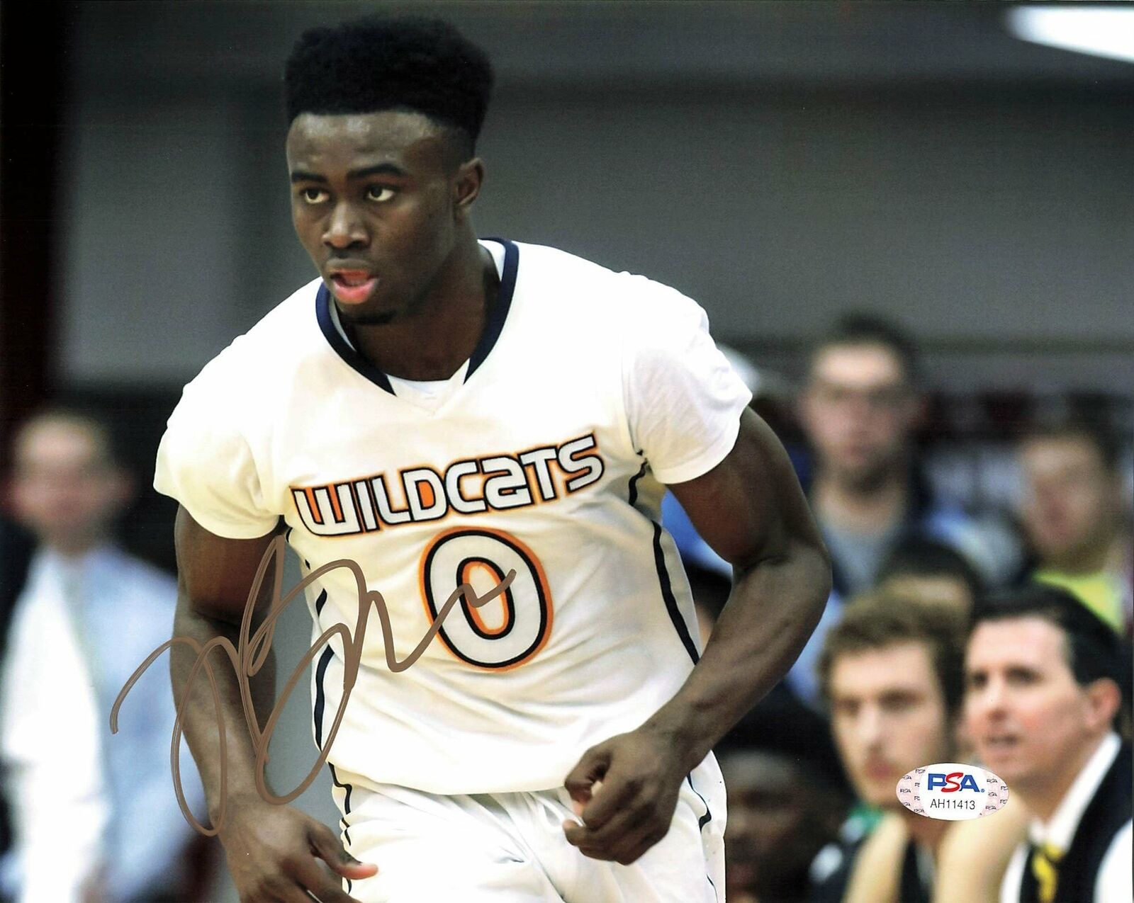 Jaylen Brown signed 8x10 Photo Poster painting PSA/DNA Boston Celtics Autographed Cal Bears