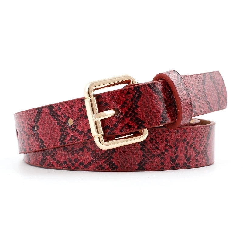 Basic Snakeskin Imitation Leather Alloy Women’s Leather Belts