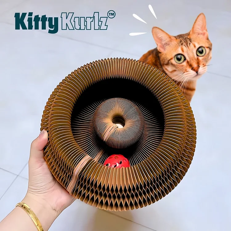 Cat toys