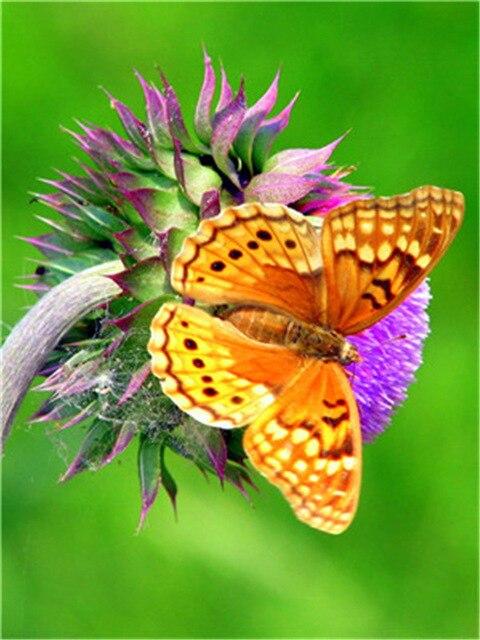 

Pretty Butterfly – Paint By Numbers - 40*50CM, 501 Original