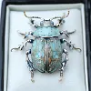 Original Design Siberian-Style Beetle Brooch - A Natural Art Collectible