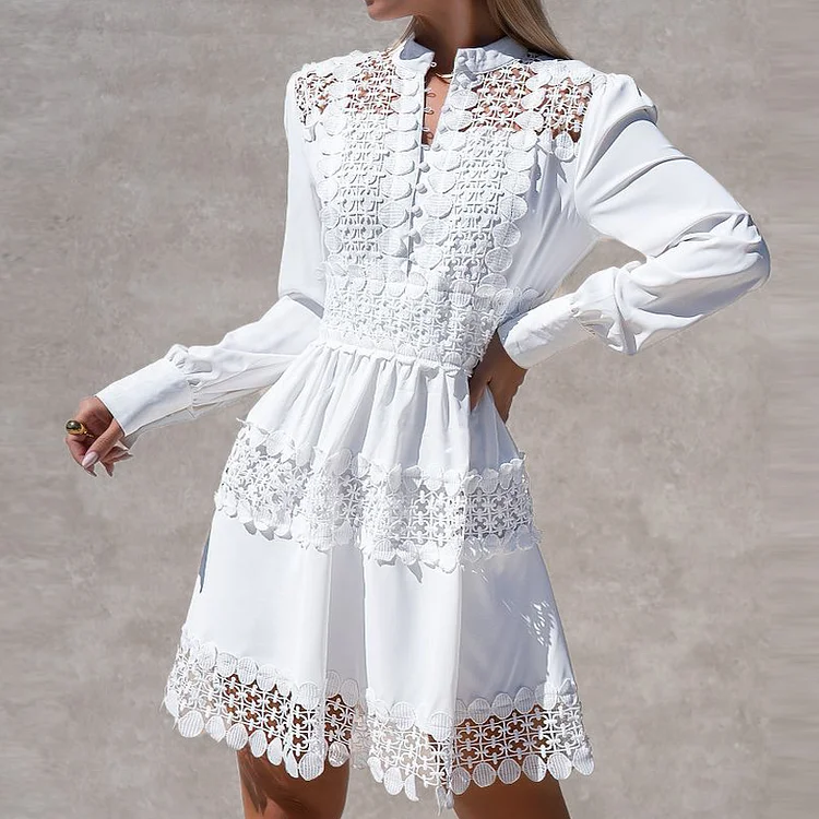 Guipure Lace Stand Collar Long Sleeve Mini Dress