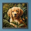 Diamond Painting-DIY Full Round Drill Farm Dog